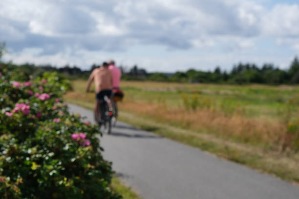 Idyllic bike path through the beautiful heather landscape in summer on the island of Sylt, Germany, with two cyclists, blurred
