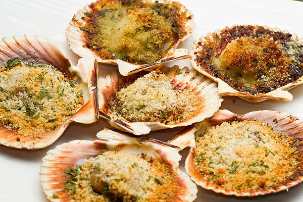 fresh scallops au gratin in the oven fresh scallops au gratin in the oven seafood gratin stock pictures, royalty-free photos & images