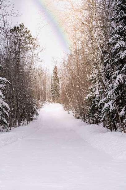 One lane road in county covered in winter white snow. Vertical photograph