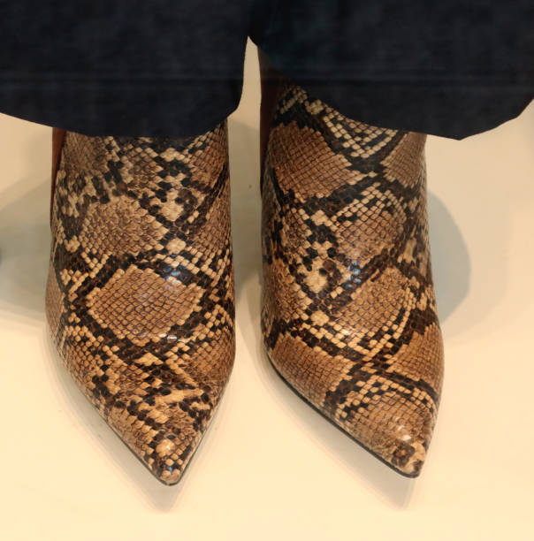 istock snakeskin feminine heeled shoes 1366265945