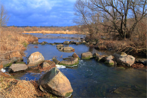 Stream in the Forest on autumn