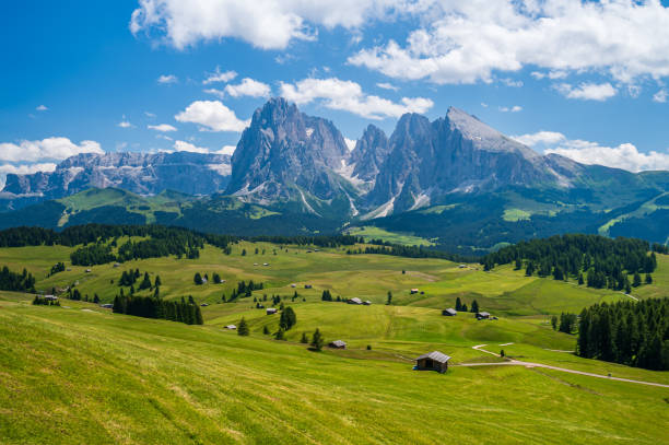 istock Alpe di Siusi Plateau in summertime 1366267673