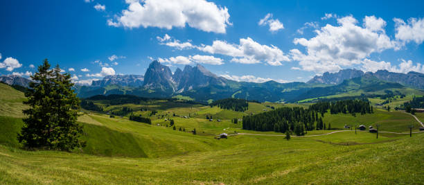 istock Alpe di Siusi Plateau in summertime 1366267690