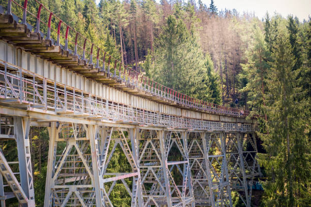istock the historic ziemestal bridge in thuringia 1366270595