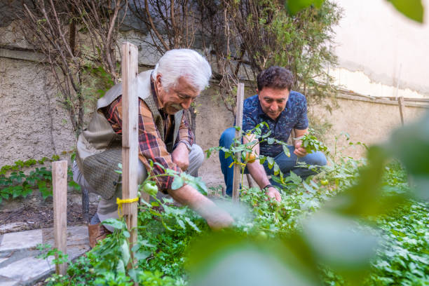 istock Senior man and son gardening in the back yard 1366270835