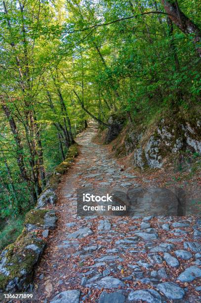 Mule Track To The Sanctuary Of Our Lady Of Montallegro Stock Photo - Download Image Now