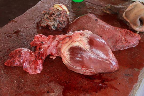 beef viscera for sale conde, bahia, brazil - september 7, 2012: Ox viscera for sale at a market in the city of Conde. blood and guts stock pictures, royalty-free photos & images