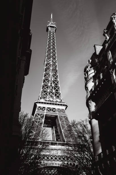 istock Eiffel Tower in Paris and typical residential buildings 1366274237