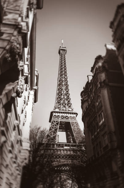 istock Eiffel Tower in Paris and typical residential buildings 1366274546