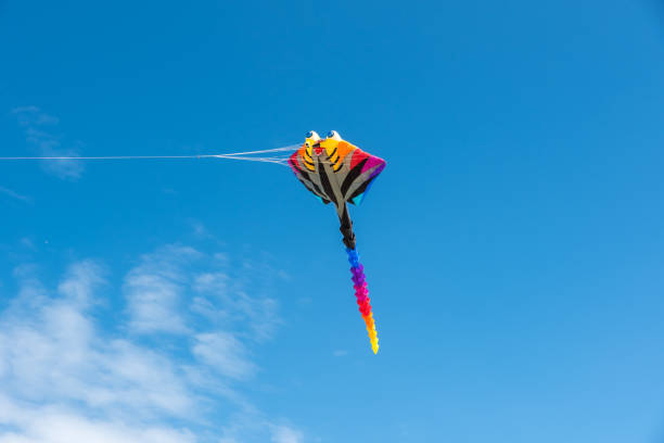 istock Colorful Kites flying over the sky 1366274903