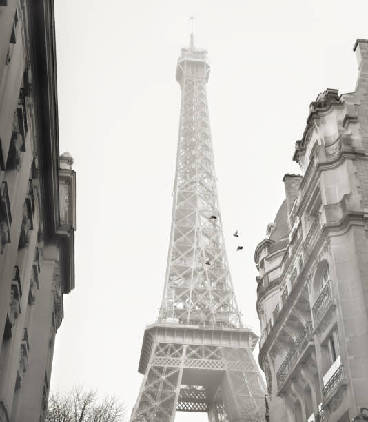 istock Eiffel Tower in Paris and typical residential buildings 1366275546