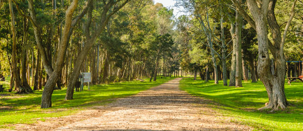 istock Del Palacio Grooto, Flores, Uruguay 1366275709