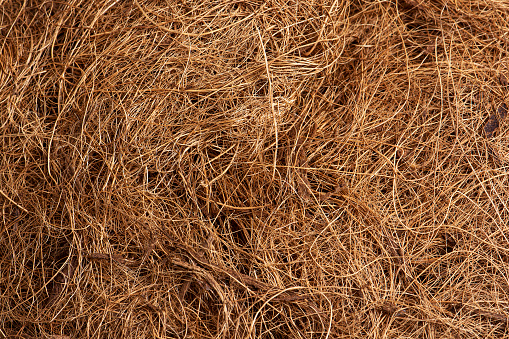 Coconut fiber. Background from coconut coir.