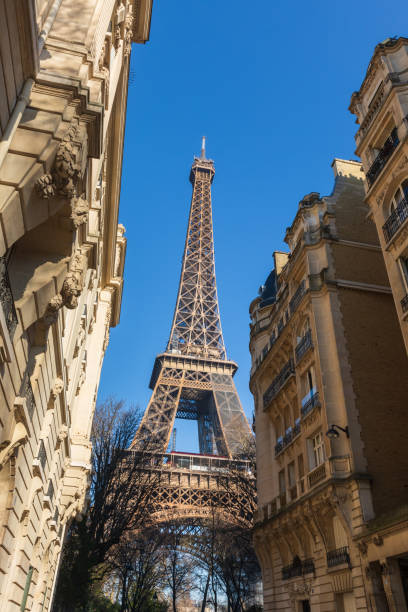 istock Eiffel Tower in Paris and typical residential buildings 1366276104