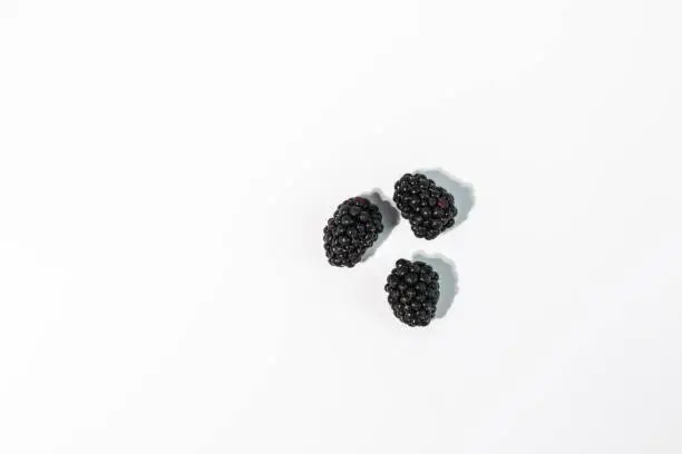 Photo of Blackberry fruit on white background