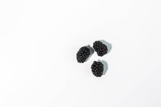 owoc jeżyny na białym tle - blackberry fruit mulberry isolated zdjęcia i obrazy z banku zdjęć