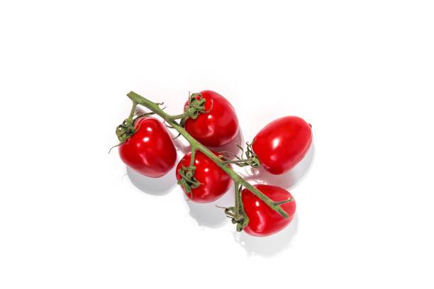 Red ripe tomatoes with sharp tips,