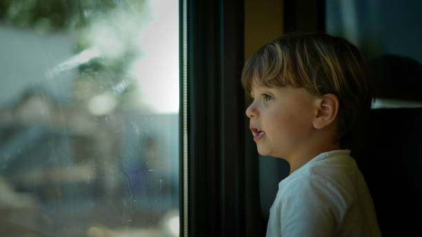 istock Little boy riding train looking out window 1366281019