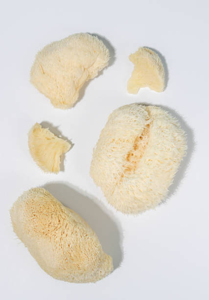 istock Cordiceps lions mane wellness mushroom for improved mental well-being and concentration 1366281077