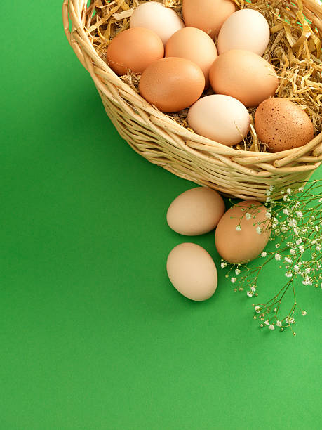 Egg basket on green (XXXL) stock photo