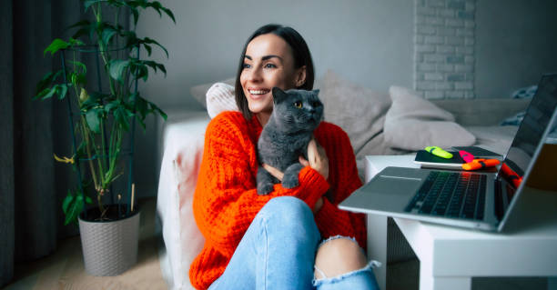 Happy beautiful young brunette woman holding and hugging her cute British shorthair cat on hands after work on laptop at home stock photo
