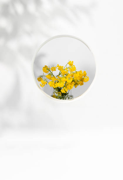 Bright yellow flowers with natural shadows in spring time in sustainability theme