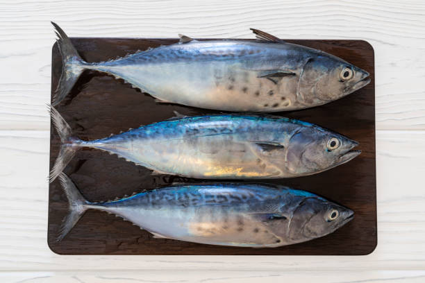 istock Three tuna fish group in a row on dark wooden board really fresh 1366285623