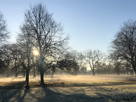 Frosty morning in London park. The sun is beaming behind the trees. Morning mist is all around. Soft lighting of this winter morning. People’s silhouettes can be seen far away, they are cold.