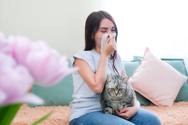 istock young woman is sneezing from fur allergy 1366294617