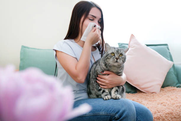 istock young woman is sneezing from fur allergy 1366294700