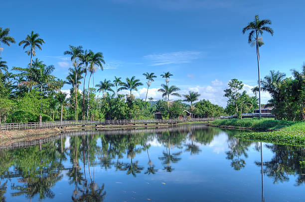 Beautiful Jamaican landscape with lake and palms