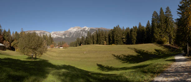 istock Meadow and forest near Flims 1366297625