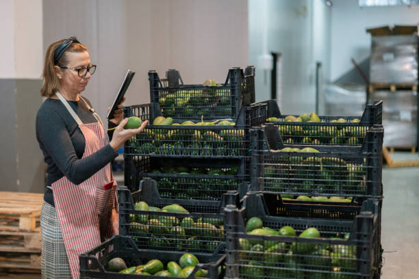 Female worker using digital tablet checking avocado fruit shipment in warehouse.