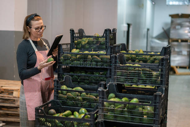 Female worker using digital tablet checking avocado fruit shipment in warehouse.