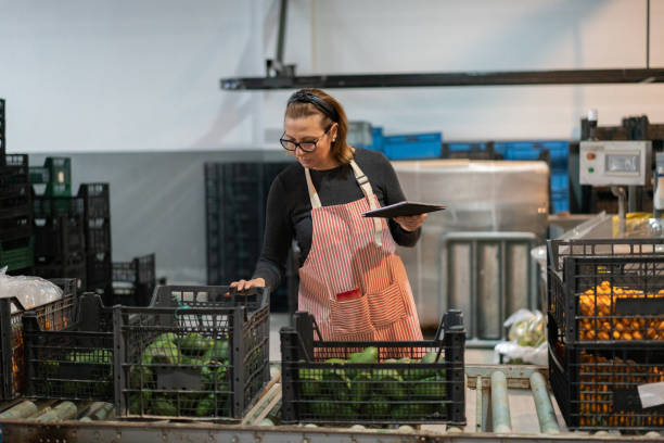Female worker using digital tablet checking variation fruit shipment in warehouse. stock photo