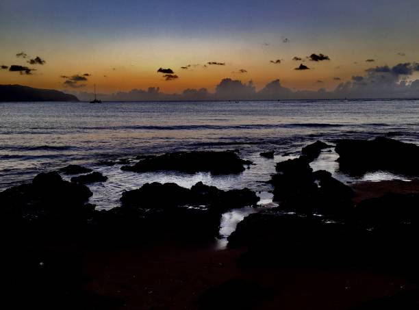 istock Haleiwa Beach golden sunset w/palms silhouetted 1366302532