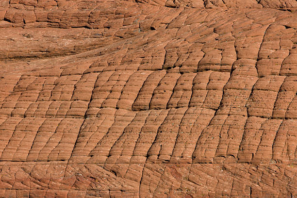 Sandstone Texture This sandstone texture is sometimes referred to as elephant hide.  This is located in the Snow Canyon Park near St. George Utah. snow canyon state park stock pictures, royalty-free photos & images