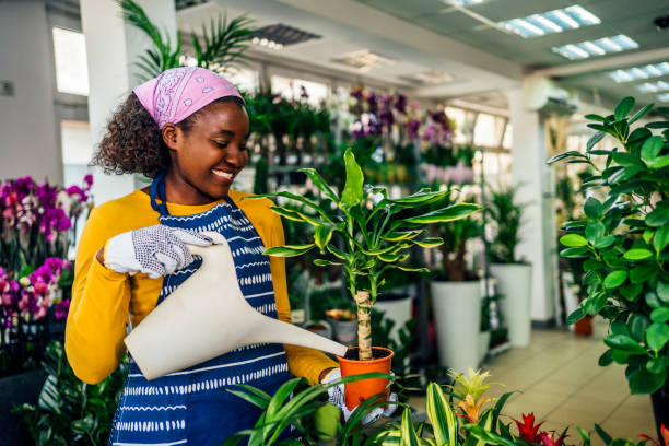 istock Florist watering flowers 1366305564