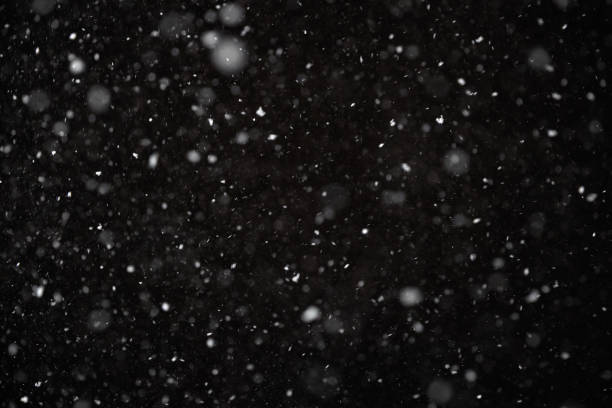 istock Snowfall on black background. Snowfall in the night sky, real snowflakes fall in the night 1366306826