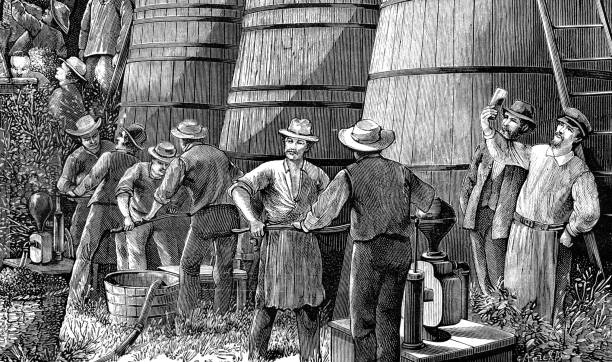 виноделие в долине напа калифорния сша 1880 - working illustration and painting engraving occupation stock illustrations