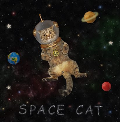 A beige cat astronaut in a spacesuit floats in outer space among the stars and planets.