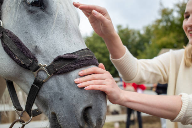 istock Treating from depression with the help of a horse. 1366310637