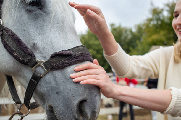Treating from depression with the help of a horse. stock photo