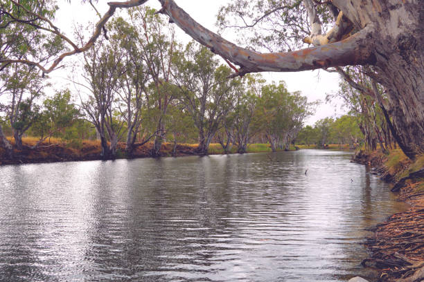 istock Horsham,  Victoria, Australia 1366312772