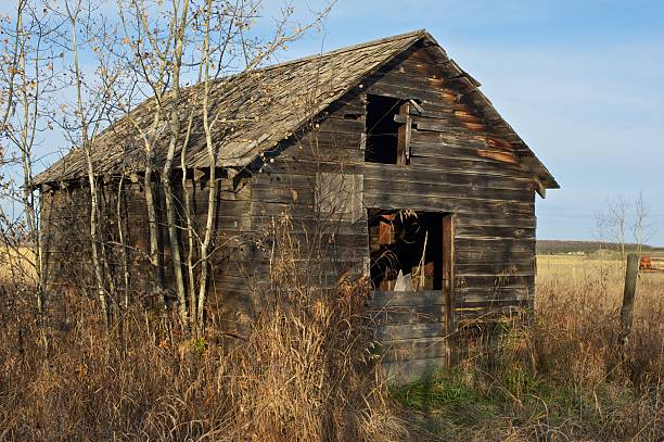 istock old abandoned farm building: wooden granary or shed 136631474