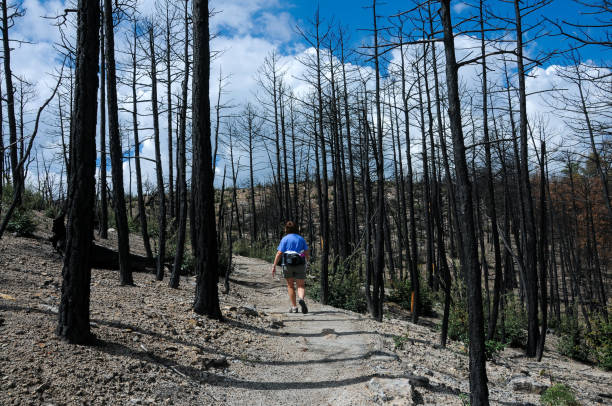 Chiricahua National Monument - Hiking through the Wildfire Area - Horizontal