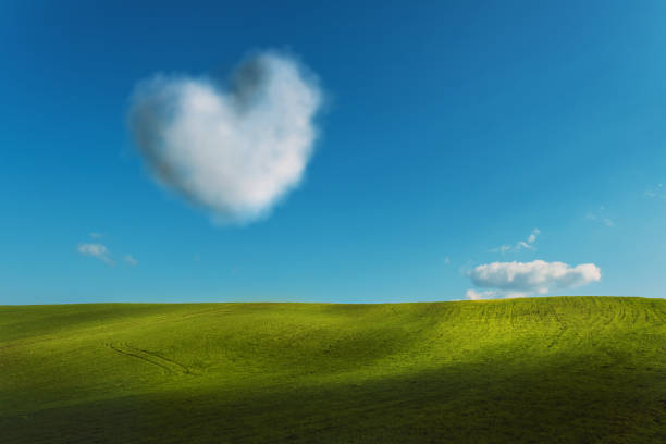 istock Meadow and sky background with a heart shaped tree 1366325483