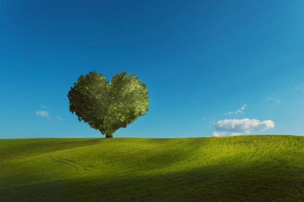 istock Meadow and sky background with a heart shaped tree 1366325487