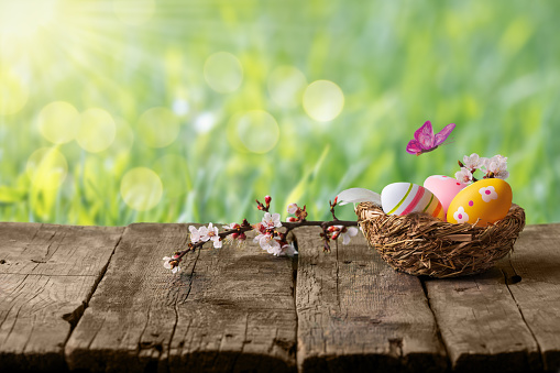 Easter eggs in nest on empty rustic wooden table with defocused green lush foliage at background. Spring Easter backdrop with bokeh and sunlight for product display on top of the table.