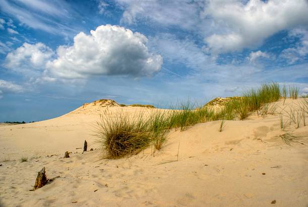 istock Slowinski National Park 136634140
